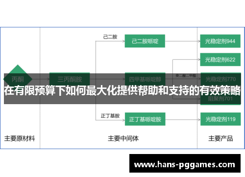 在有限预算下如何最大化提供帮助和支持的有效策略