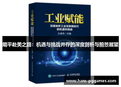 朗平赴美之路：机遇与挑战并存的深度剖析与前景展望