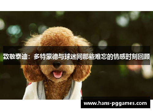 致敬泰迪：多特蒙德与球迷间那些难忘的情感时刻回顾