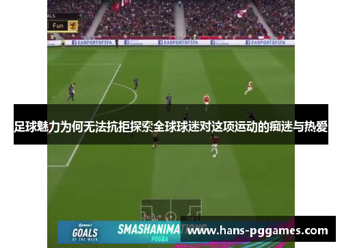 足球魅力为何无法抗拒探索全球球迷对这项运动的痴迷与热爱