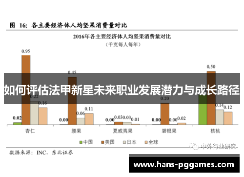 如何评估法甲新星未来职业发展潜力与成长路径