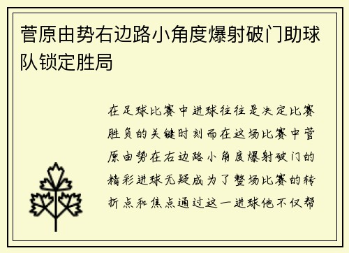 菅原由势右边路小角度爆射破门助球队锁定胜局 菅原由势右边路小角度爆射破门助球队锁定胜局